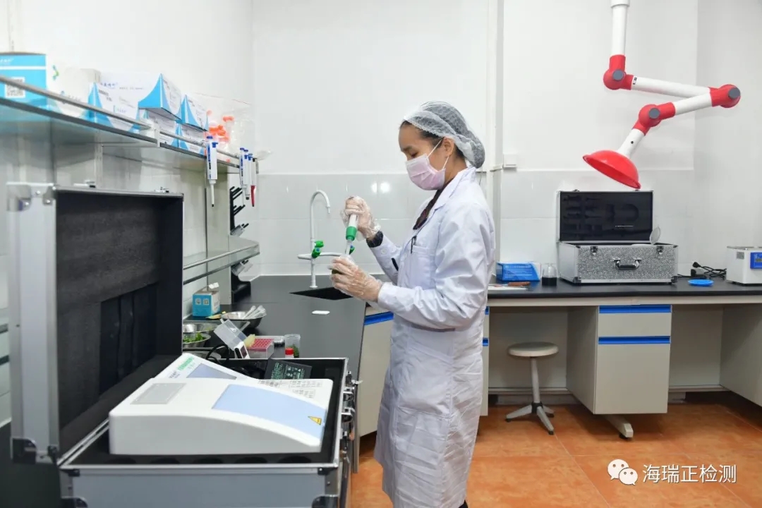 640.webp.jpg 640.webp.jpg