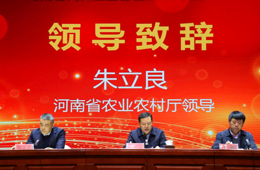 205636581.png 205636581.png